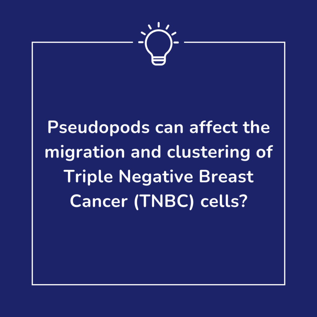 TNBC is a highly aggressive and metastatic cancer. Computational modelling of two TNBC cell lines (HCC38 and Hs578T) found that increasing density lead to faster migration speed only in HCC38 and not Hs578T. This difference was due to arm like projections called "pseudopods" that help cells facilitate movement. HCC38 showed increased pseudopod pulling and pseudopod-pseudopod interaction.