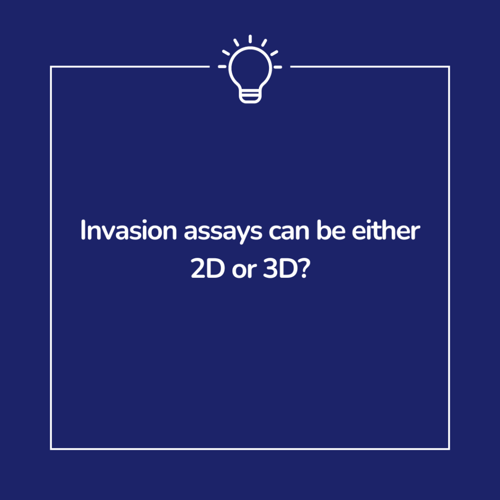 2D invasion assays use a transwell plate while 3D invasions use an inner cell matrix and a outer empty collagen matrix