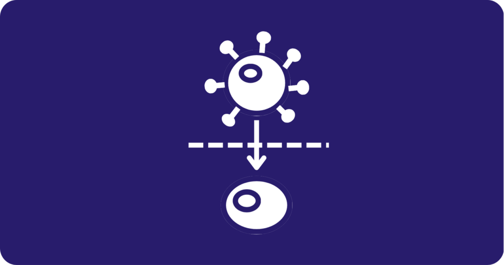 transwell migration assay