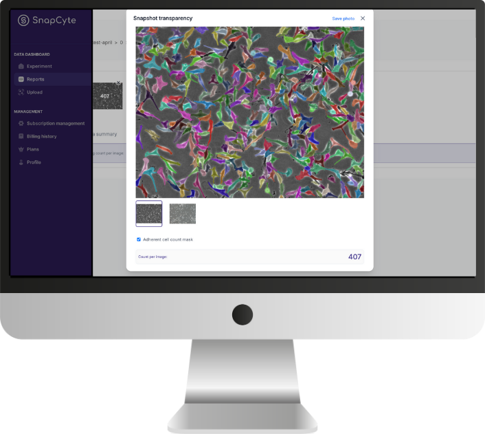 AI image analysis from SnapCyte