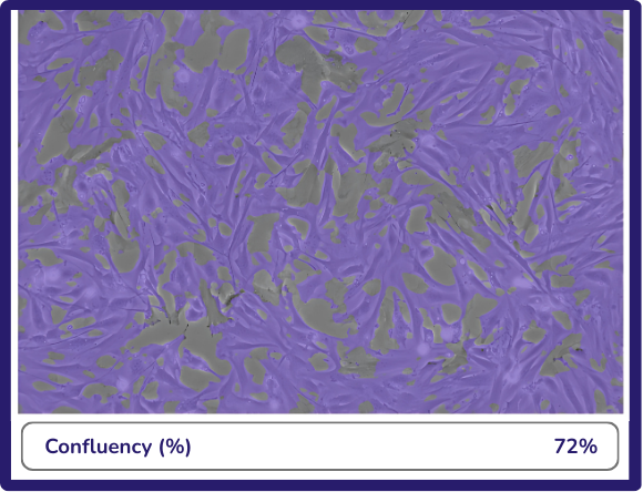 Label-free cell confluency analysis infographic from SnapCyte