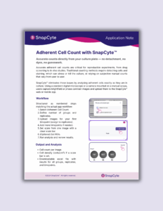 Application Note for Adherent cell count with SnapCyte