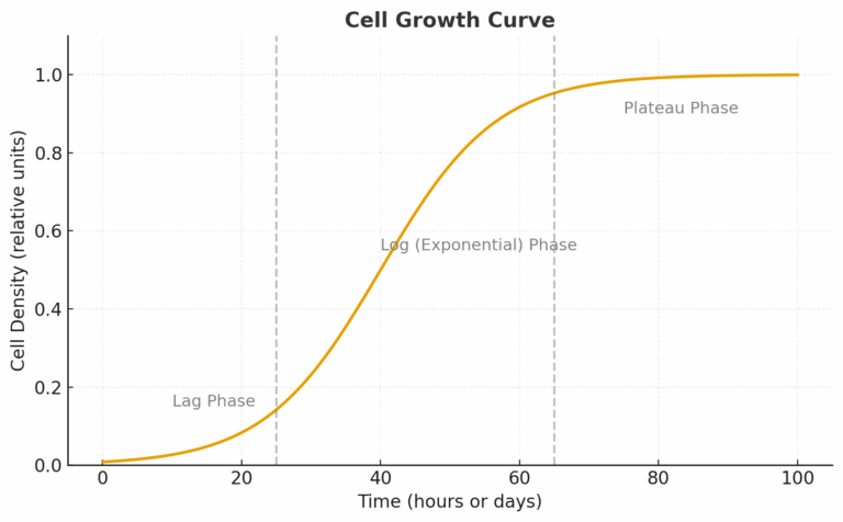 exponential cell growth curve