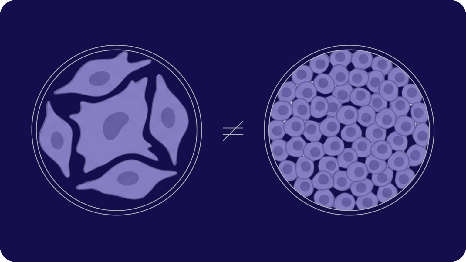 Cell Confluency Analysis – When It Works and When It Fails