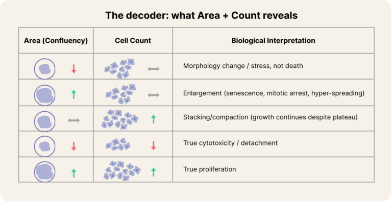 Cell Confluency Analysis – When It Works and When It Fails