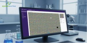 Automated Spheroid Segmentation Using Custom AI Image Analysis (SnapCyte)