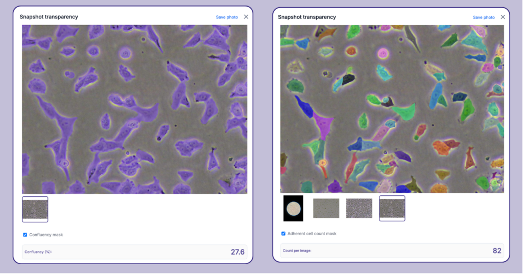 AI image analysis for adherent cell count and confluency