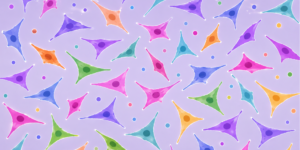 ai adherent cell count