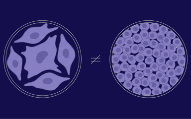 Blog Post Graphics (12)