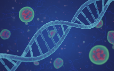 image showing doubling dna, cells