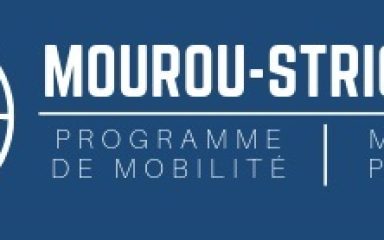 Logo-format-bannière