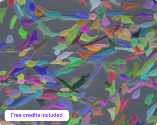 AI image analysis tool