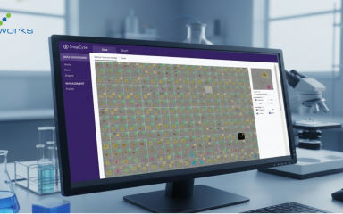 Automated Spheroid Segmentation Using Custom AI Image Analysis (SnapCyte)