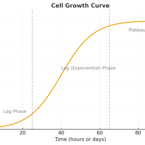 exponential cell growth curve